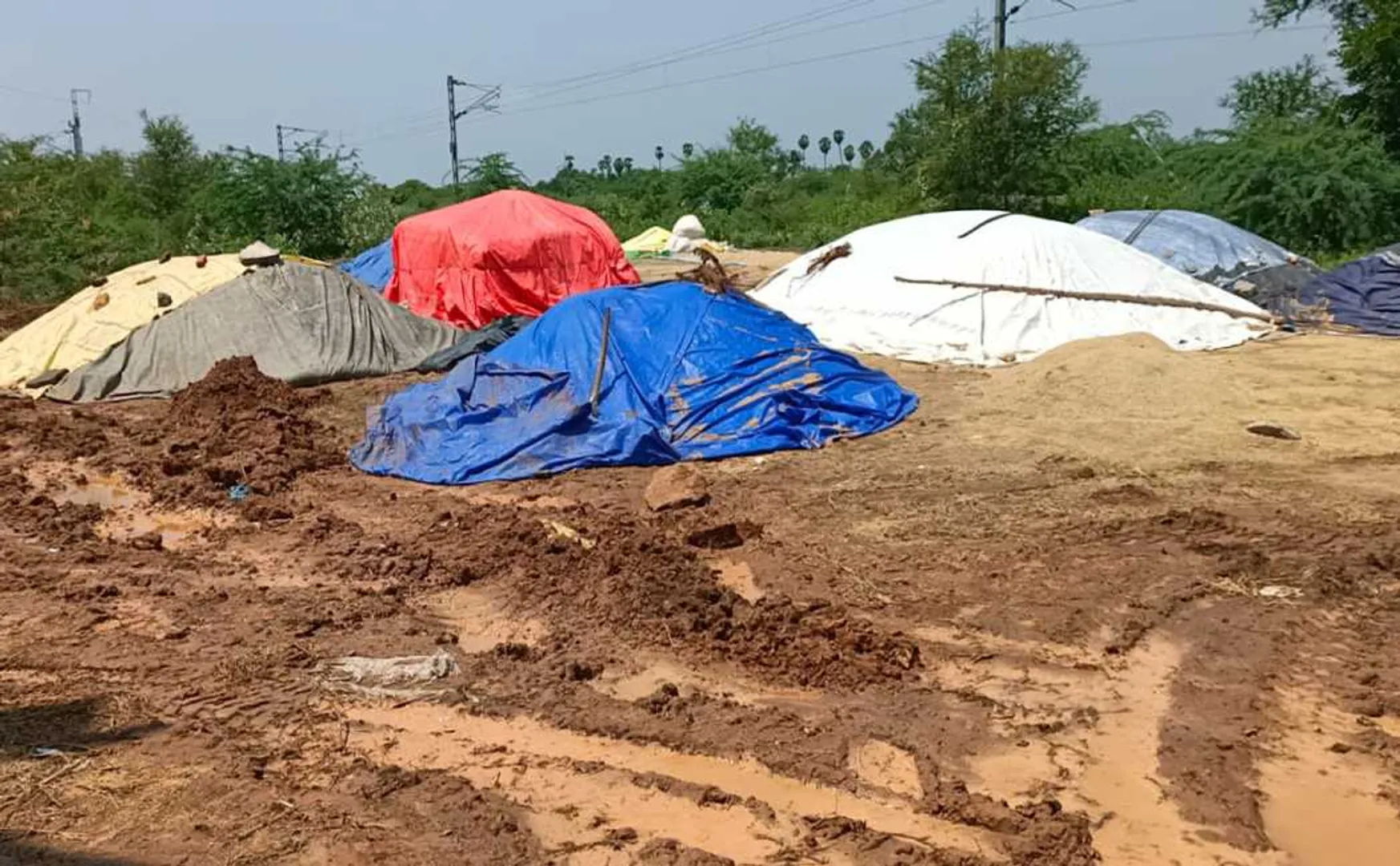 CUDDALORE DISTRICT FARMERS PADDY BEATS RAINS 